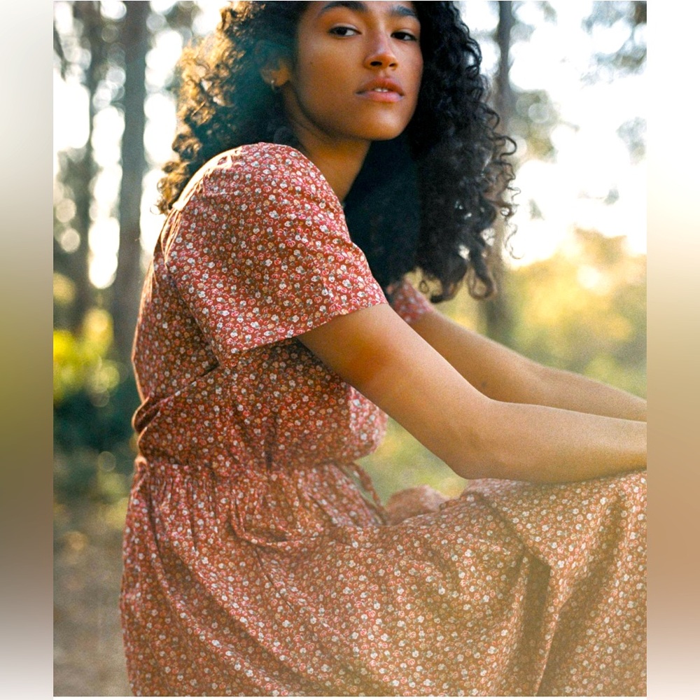 ISO Christy Dawn Rooibos Harvest Dawn dress